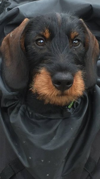 11892013 759334680879716 4729151181587141291 n