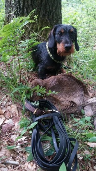 13269293 912840592195790 1213312517558738797 n