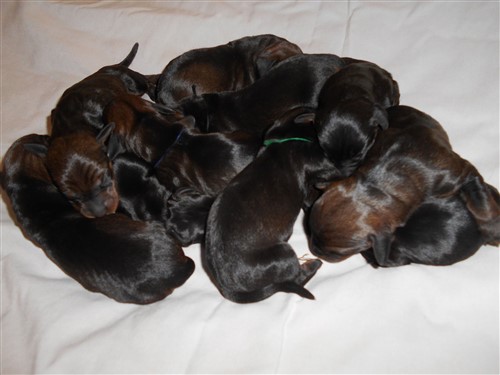 14589703 1201820033174196 6353216810945132327 o