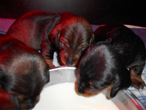 14886233 1221286577894208 852554754 n