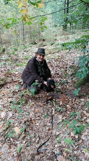 14971858 1025891110890737 930798578 n