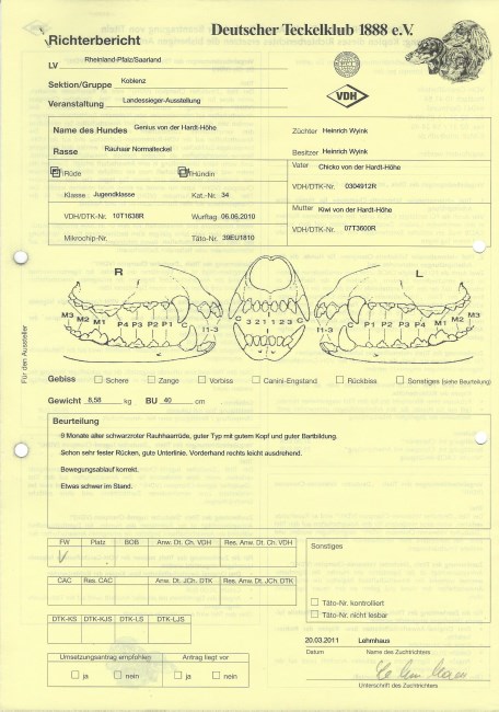 2. Ginus Raport Koblenz 20 3 2011