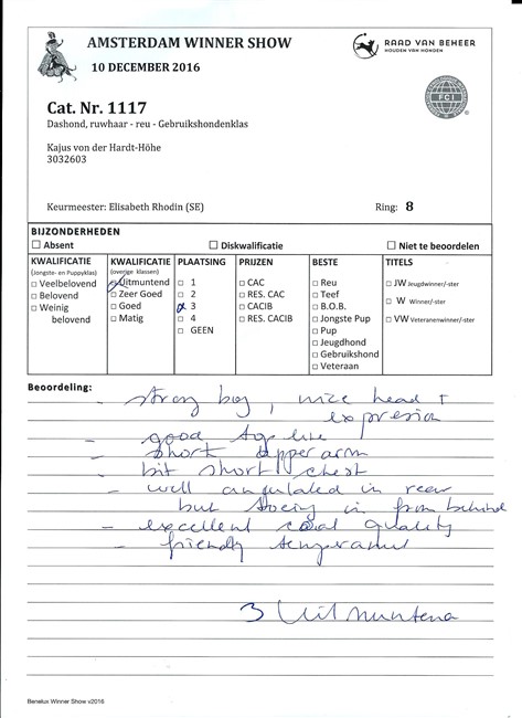 2. Rapport Winner 2017