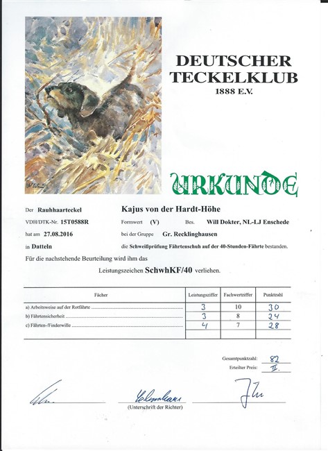 27 08 2016 SchwhKF 40 Kajus