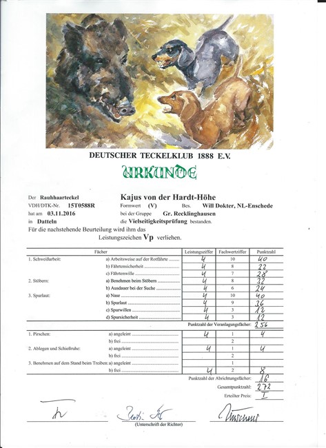 3 11 2016 VP Kwinten