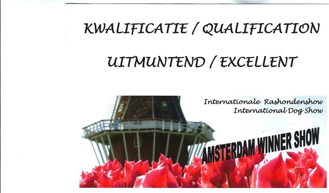 3. Excellent Kwinten Winner 2017