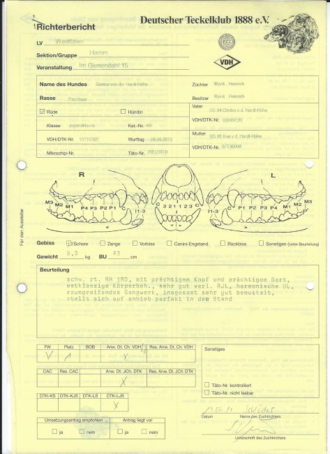 5. Ginus Hamm Raport 19 6