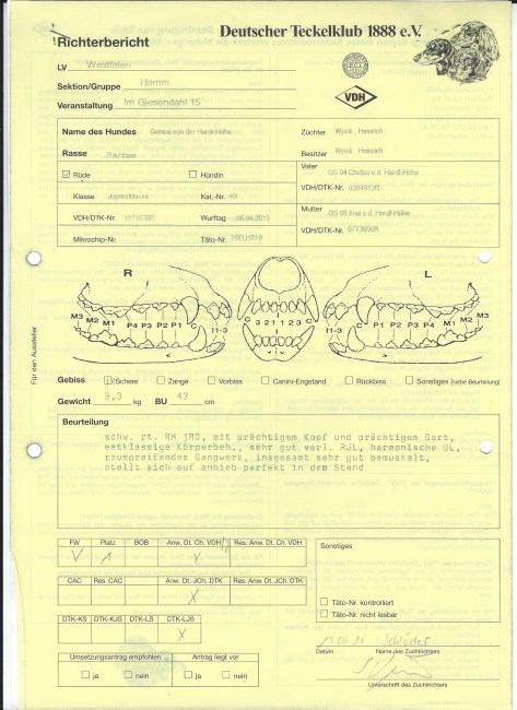 5. Ginus Hamm Raport 19 6