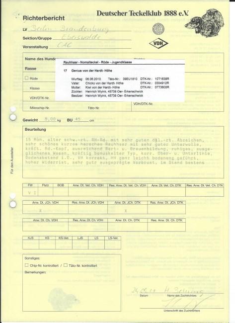 7. Ginus Dortmund Rapport 24 9