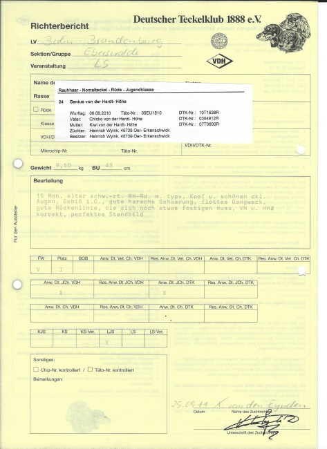 9. Ginus Dortmund Rapport 25 9