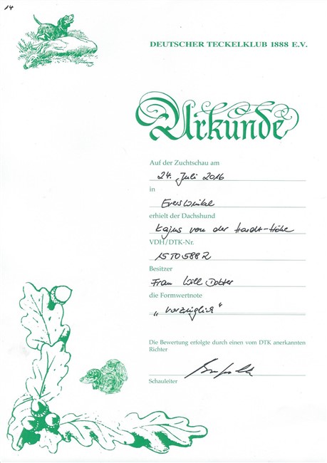 Eerste show Kwinten Dtsl. juli 2016