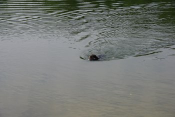 IMGP2506
