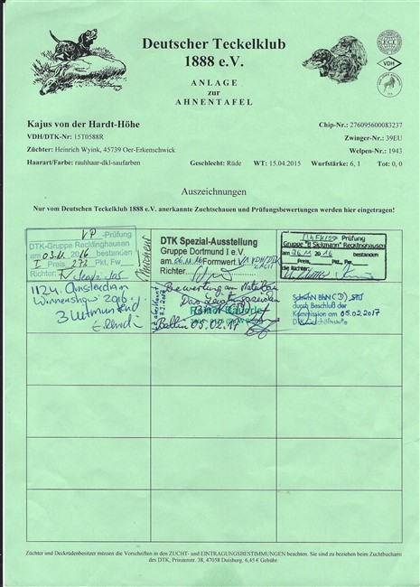 Kajus Bijlage met Das