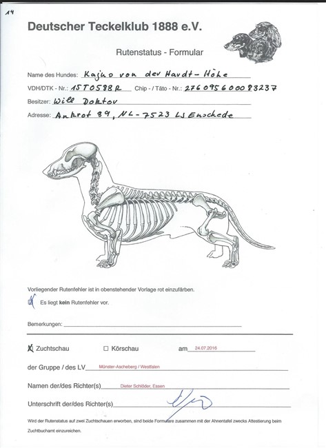 Staart controle Kwinten oke