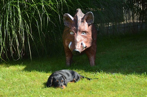 received 1170559416341581