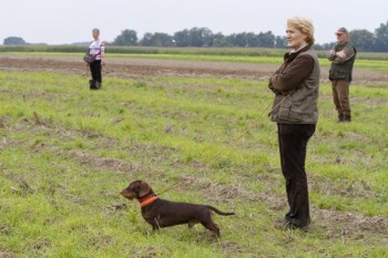 2013_10_05_-_DTK_-_VP_-__111