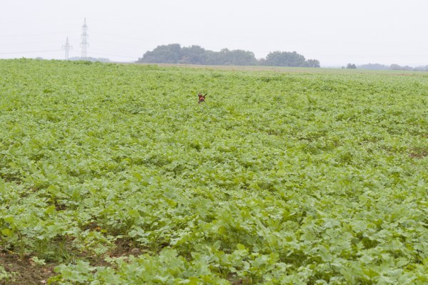 2013_10_05_-_DTK_-_VP_-__115