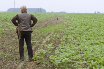 2013_10_05_-_DTK_-_VP_-__117