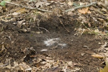 2013_10_05_-_DTK_-_VP_-__42