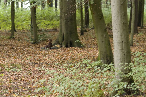 2013_10_05_-_DTK_-_VP_-__71