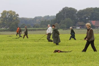 2013_10_05_-_DTK_-_VP_-__80