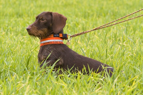 2013_10_05_-_DTK_-_VP_-__88