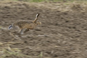 2013_10_05_-_DTK_-_VP_-__96