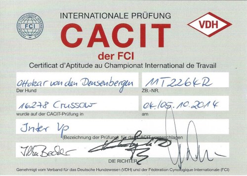 Bew. CACIT Ott 2014.jpg