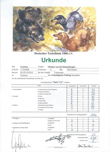 Bew. Int. VP Ott 2014