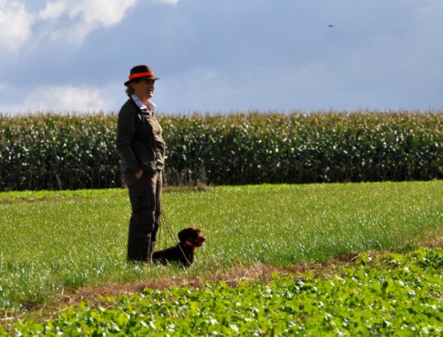 Spurlaut_2012_09_115