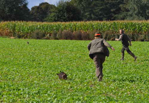 Spurlaut_2012_09_121