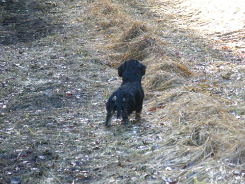 071208-jacob