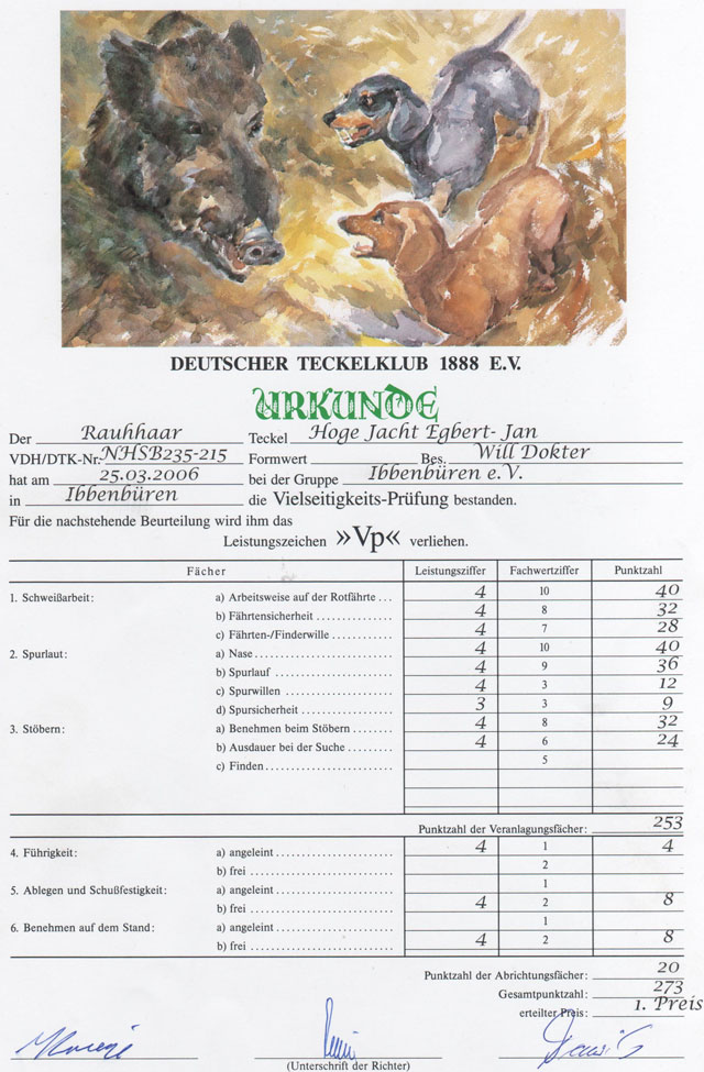 Diploma VP