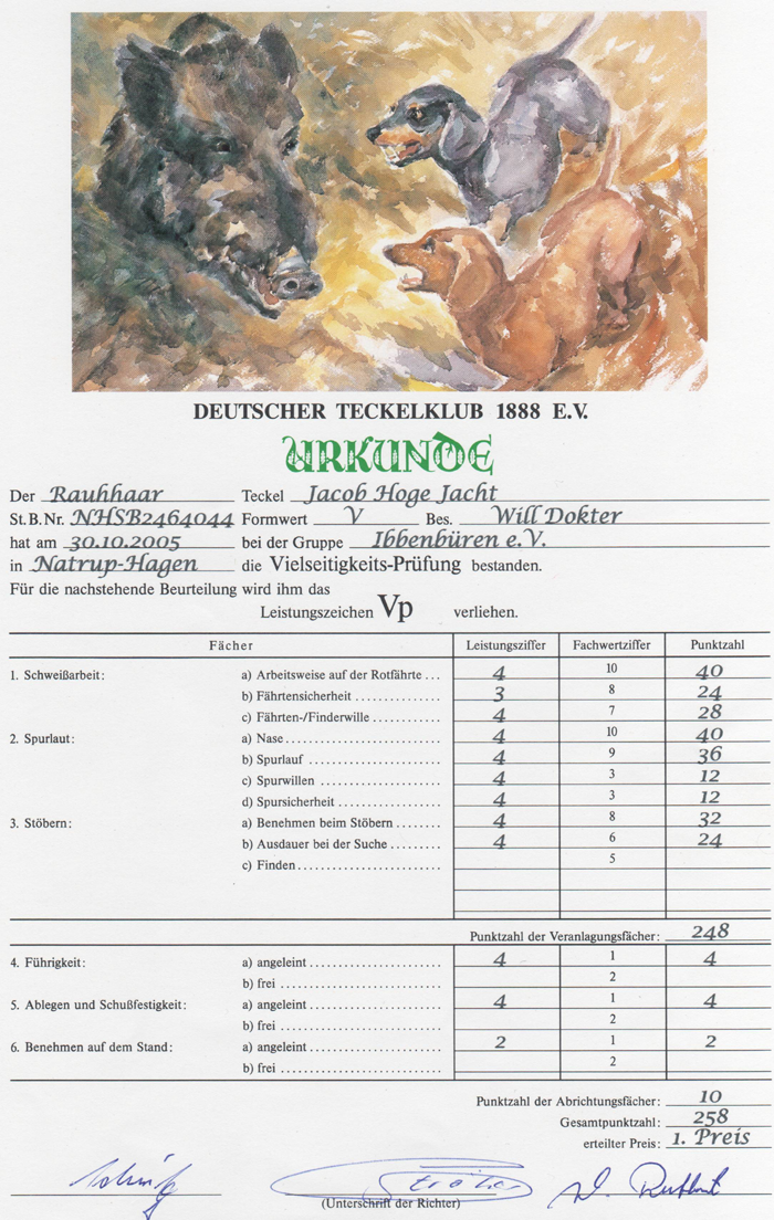 Diploma VP